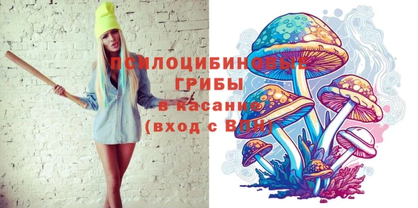 прущая мука Бронницы