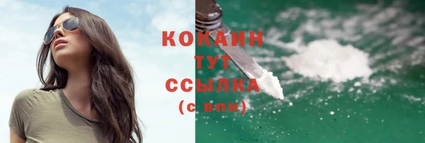 мет Бородино