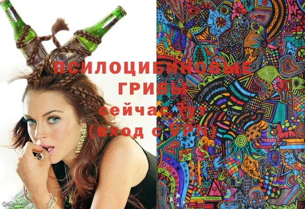 мет Бородино