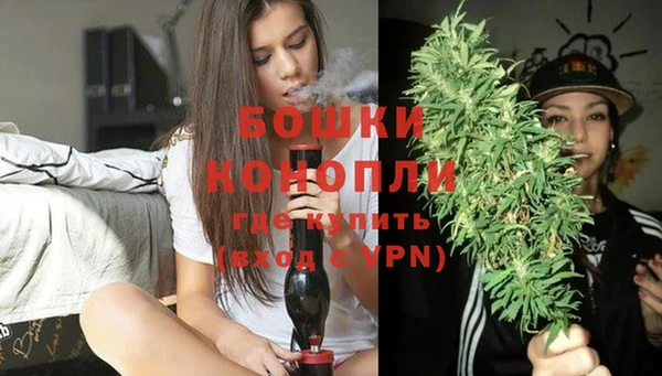 мет Бородино