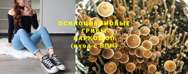 прущая мука Бронницы