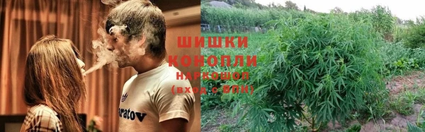мет Бородино