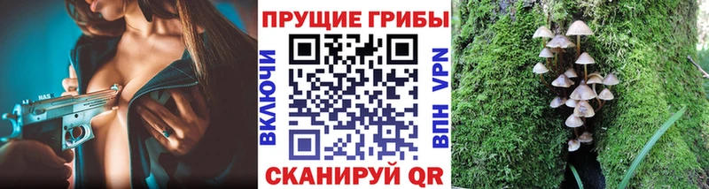 Галлюциногенные грибы GOLDEN TEACHER  Купить закладки  Назрань 